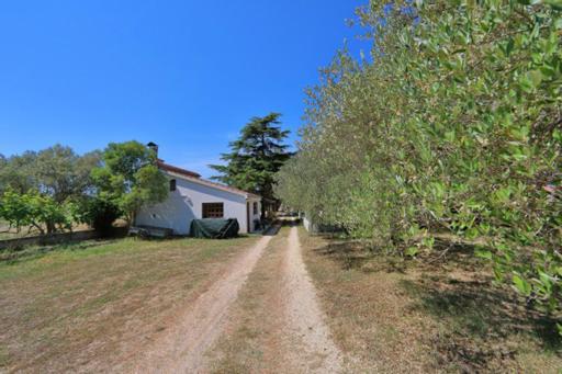 Apartmani Pjer 2 Bibinje Exterior foto